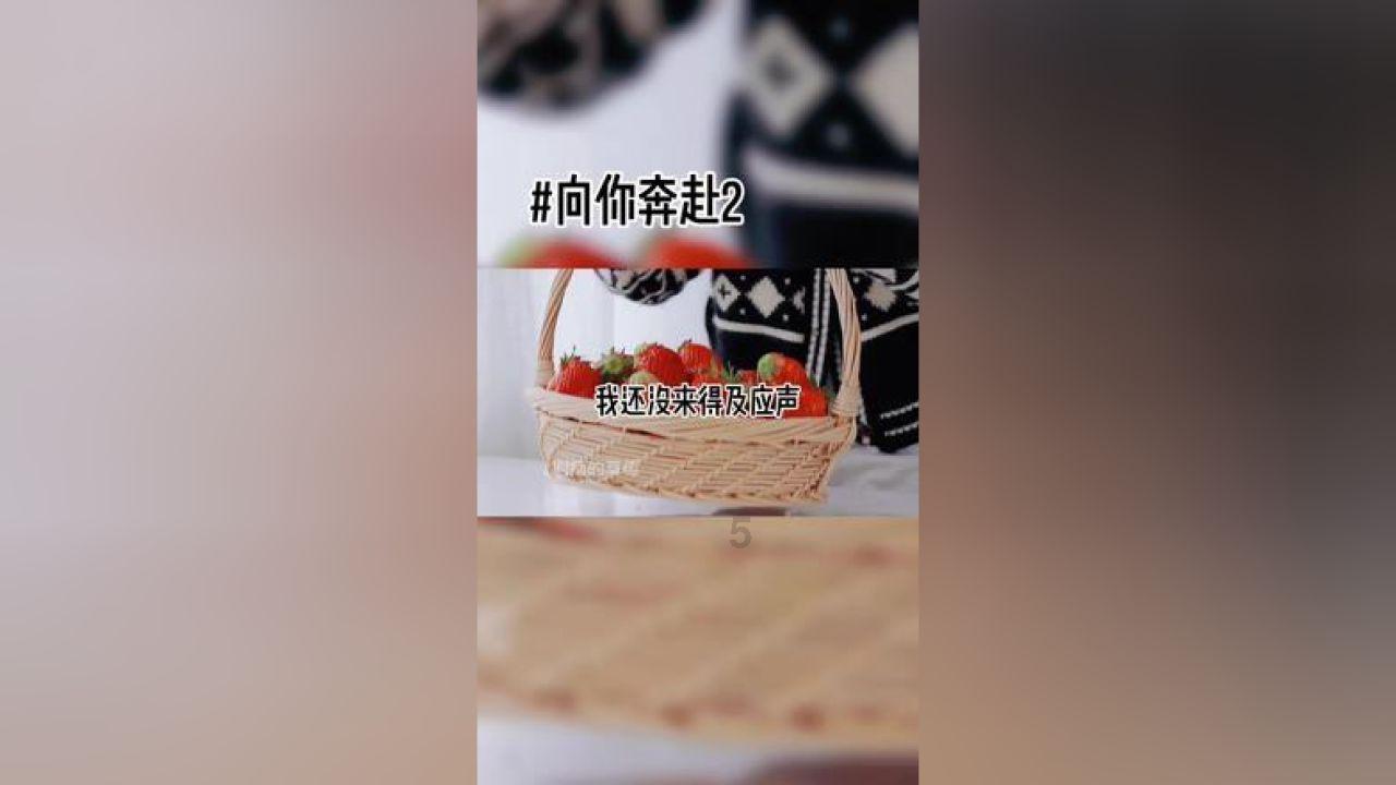 东汉王朝与北边匈奴的冲突,引发了东北边的边患和西域诸国的入侵